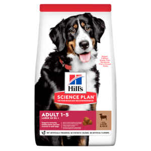 Science diet large breed lamb hot sale